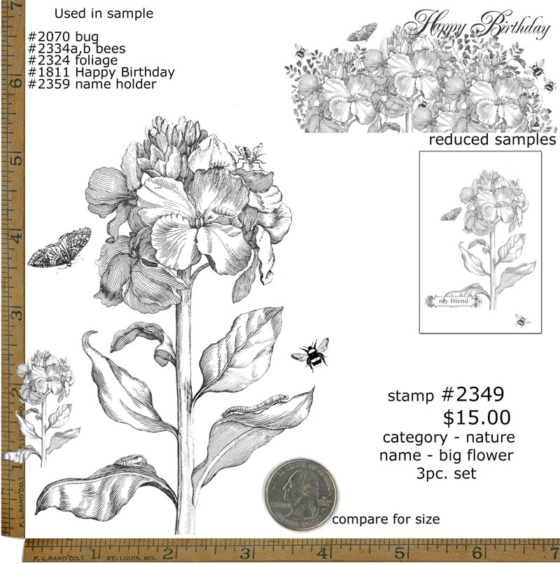 #2349 - Big Flower - Nature